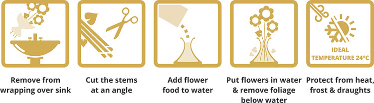 Care for your Bouquet