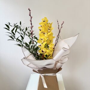 Cymbidium Orchid - Yellow
