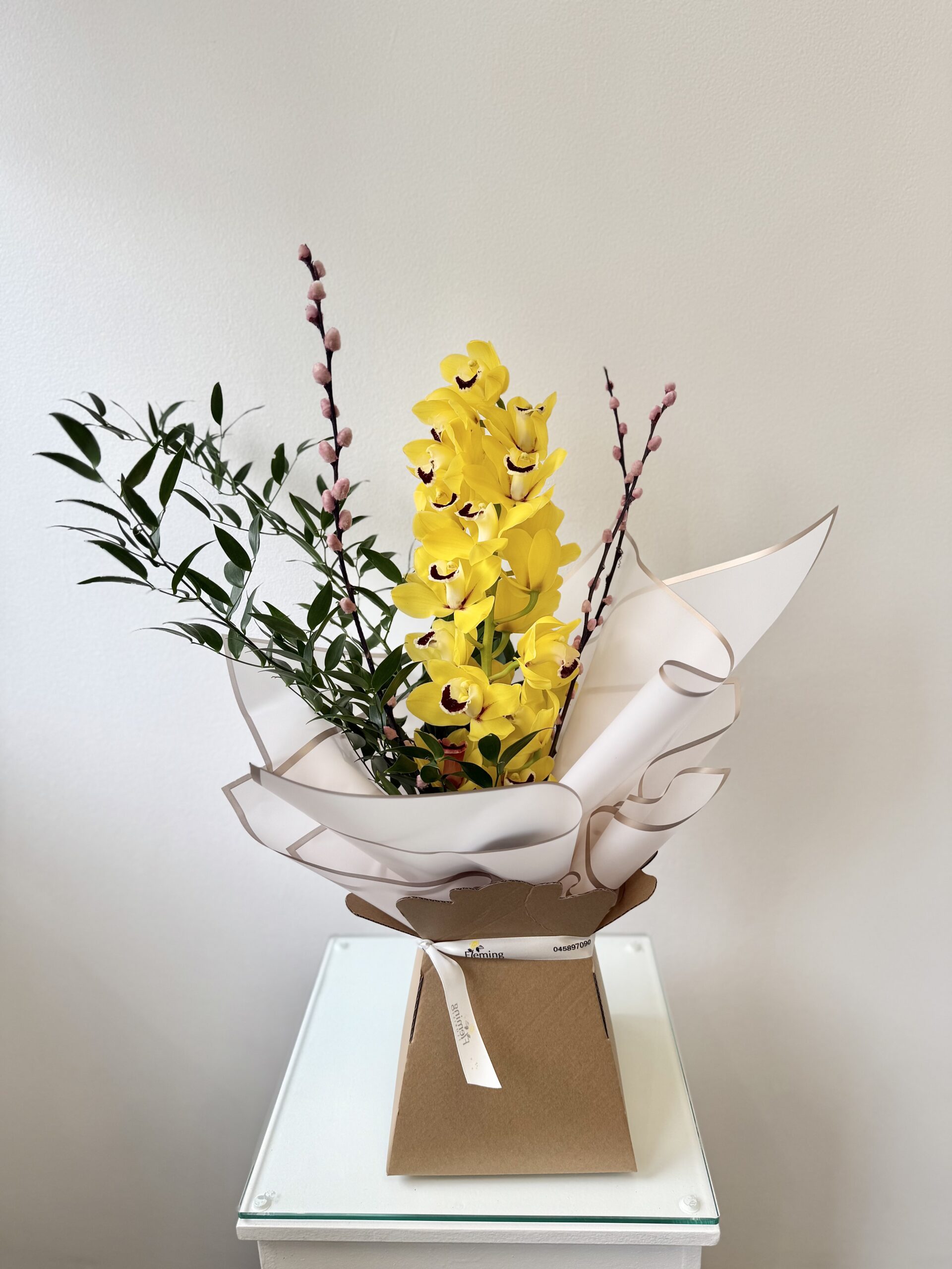 Cymbidium Orchid - Yellow